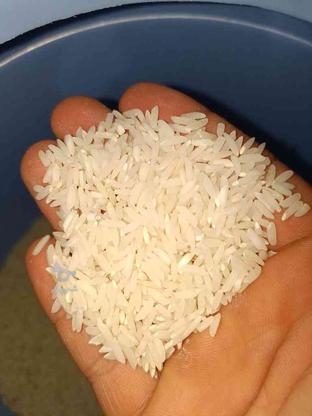 برنج طارم هاشمی خوش پخت در گروه خرید و فروش خدمات و کسب و کار در مازندران در شیپور-عکس1