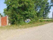 فروش زمین کشاورزی 31000 متر در گلسرخ در شیپور