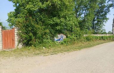 فروش زمین کشاورزی 31000 متر در گلسرخ