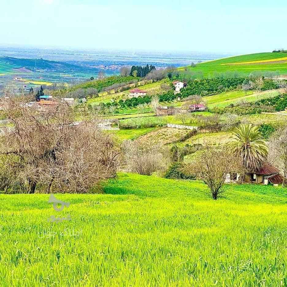 فروش زمین 290 متر در تنگ لته در گروه خرید و فروش املاک در مازندران در شیپور-عکس1