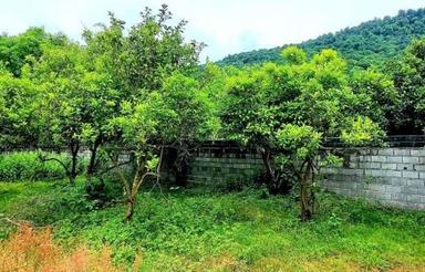 زمین مسکونی در ترک کلا 212 متر