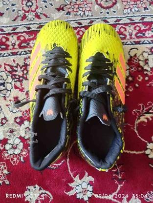 کفش فوتبال آدیداس سایز42نو در گروه خرید و فروش ورزش فرهنگ فراغت در گیلان در شیپور-عکس1