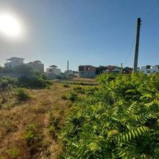 فروش زمین 200 متر جاده پلاژ_جفت بافت