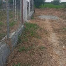 زمین کشاورزی 500 متر جاده قائمشهر