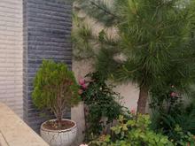 فروش ویلا 500 متر در کردان در شیپور