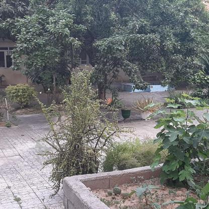 فروش زمین مسکونی 480 متر در قارن در گروه خرید و فروش املاک در مازندران در شیپور-عکس1