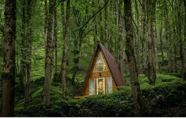 اجاره کلبه سوئیسی جنگلی در دل جنگل