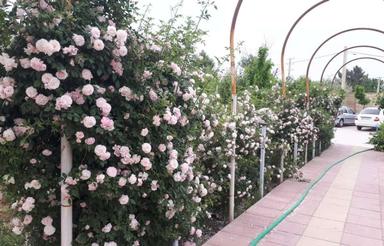 باغ ویلا شهرک زعفرانیه چهارباغ