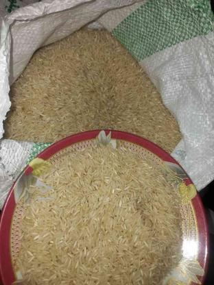 برنج درجه یک نوراباد ممسنی در گروه خرید و فروش خدمات و کسب و کار در فارس در شیپور-عکس1