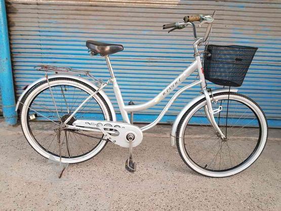 دوچرخه قناری 26 در گروه خرید و فروش ورزش فرهنگ فراغت در گیلان در شیپور-عکس1