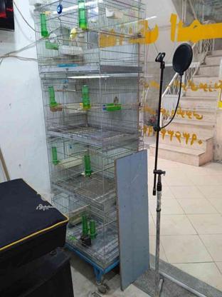 قفس غلامی چاهار طبقه در گروه خرید و فروش ورزش فرهنگ فراغت در تهران در شیپور-عکس1