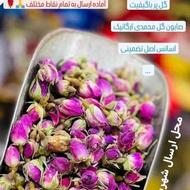 نهال گل محمدی، غنچه، گلاب، صابون، روغن و اسانس گل محمدی