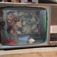 آکواریوم با طرح تلویزیون قدیمی