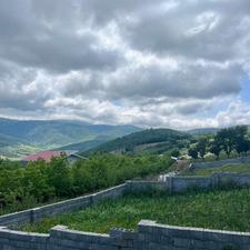 فروش/زمین/جنگلی/305متر/بابلکنار/کوچه شخصی