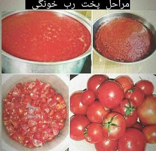 رب خانگی وارگانیک و طبیعی