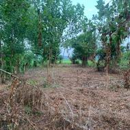 فروش زمین 470 متری بلوار امام حسین استانه