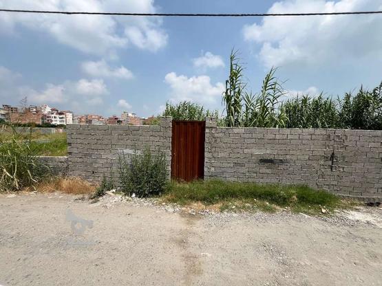فروش زمین مسکونی 230 متر در حمزه کلا در گروه خرید و فروش املاک در مازندران در شیپور-عکس1