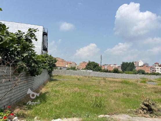 فروش زمین مسکونی 150 متر در حمزه کلا در گروه خرید و فروش املاک در مازندران در شیپور-عکس1