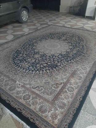 فروش فرش ماشینی در گروه خرید و فروش لوازم خانگی در مازندران در شیپور-عکس1
