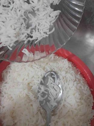 برنج طارم هاشمی درجه یک در گروه خرید و فروش خدمات و کسب و کار در مازندران در شیپور-عکس1