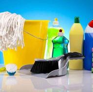 نیروی خدمات تمیزکاری نظافت منزل