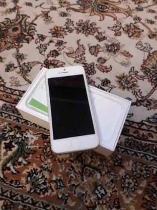 گوشی اپل ایفون5 سفارش امریکا در گروه خرید و فروش موبایل، تبلت و لوازم در تهران در شیپور-عکس1