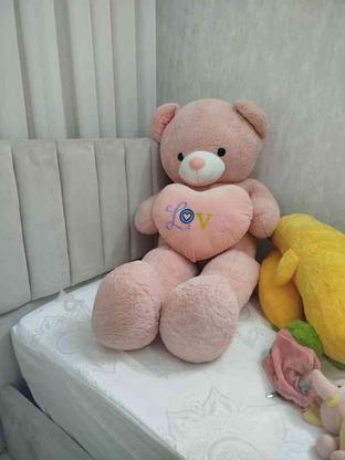 خرس ب علت نبود جا در گروه خرید و فروش ورزش فرهنگ فراغت در قزوین در شیپور-عکس1