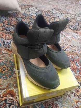 کفش سایز38 در گروه خرید و فروش لوازم شخصی در تهران در شیپور-عکس1
