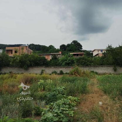 300 متر زمین باغی جفت بافت در مرمت  در گروه خرید و فروش املاک در مازندران در شیپور-عکس1