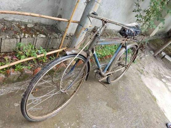 دوچرخه قدیمی در گروه خرید و فروش ورزش فرهنگ فراغت در مازندران در شیپور-عکس1