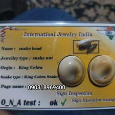 مهره مار اصل افریقایی