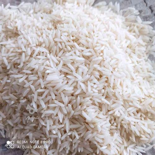 برنج طارم شیرودی اعلا (5تن موجوده)