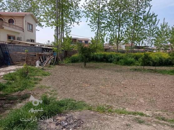 250 متر زمین اکازیون برای ساخت در گروه خرید و فروش املاک در مازندران در شیپور-عکس1