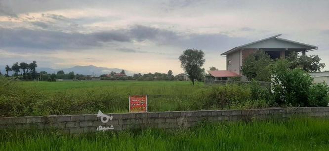 زمینی به متراژ 252متر با موقعیتی عالی در گروه خرید و فروش املاک در گیلان در شیپور-عکس1