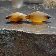 مهره مار اصل برنجی استخوانی سفید