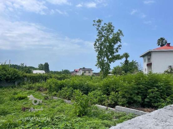 فروش زمین مسکونی 400 متر با جواز ساخت در بورایش در گروه خرید و فروش املاک در مازندران در شیپور-عکس1