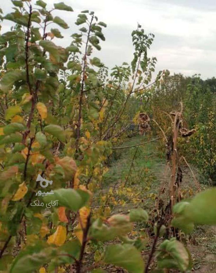 168متر دارای آب و برق و نگهبان 24 ساعته در گروه خرید و فروش املاک در تهران در شیپور-عکس1