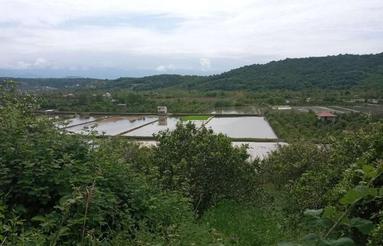 فروش زمین با چشم اندازی بینظیر در جاده نظامی شیرگاه