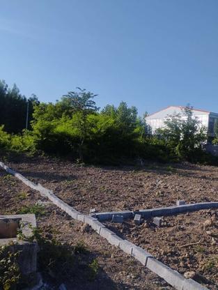 زمین مسکونی با پروانه ساخت در لاهیجان در گروه خرید و فروش املاک در گیلان در شیپور-عکس1
