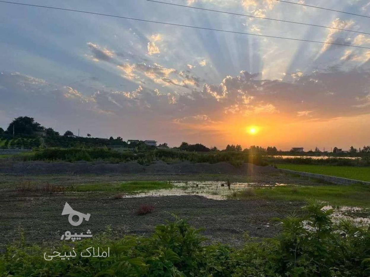 فروش زمین مسکونی900مترجاده نظامی پاشاکلا در گروه خرید و فروش املاک در مازندران در شیپور-عکس1