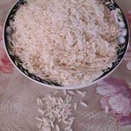 پخش برنج طارم مازندران