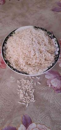 پخش برنج طارم مازندران در گروه خرید و فروش خدمات و کسب و کار در مازندران در شیپور-عکس1