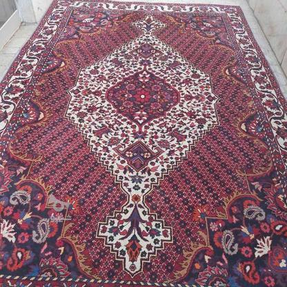 فرش دستبافت سنتی در گروه خرید و فروش لوازم خانگی در اصفهان در شیپور-عکس1