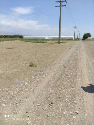 زمین کشاورزی با مجوز گلخانه در گروه خرید و فروش املاک در البرز در شیپور-عکس1
