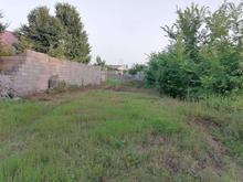 فروش زمین مسکونی 250 متر زیباکنار خشک اسطلخ در شیپور