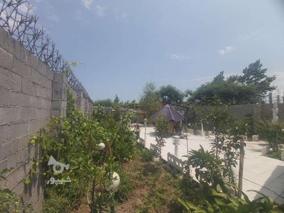 فروش 277 متر باغ در گروه خرید و فروش املاک در گیلان در شیپور-عکس1
