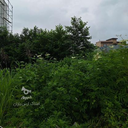 فروش زمین مسکونی 330 متر در گلدشت در گروه خرید و فروش املاک در مازندران در شیپور-عکس1