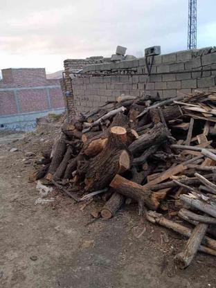 خریدار انواع چوب توافقی در گروه خرید و فروش خدمات و کسب و کار در کردستان در شیپور-عکس1