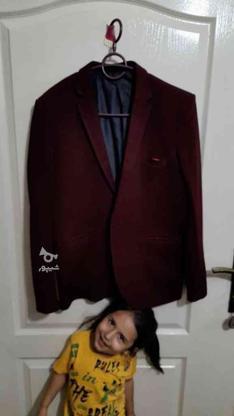 کت تک زرشکی در گروه خرید و فروش لوازم شخصی در تهران در شیپور-عکس1