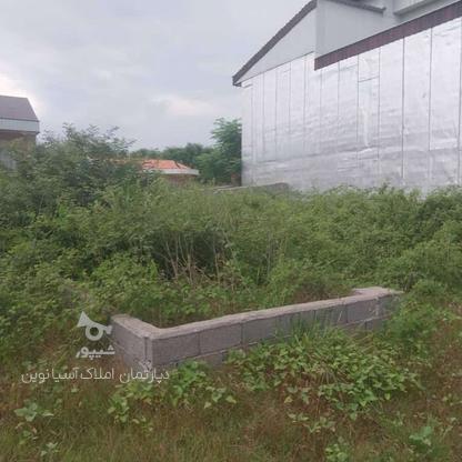 فروش زمین مسکونی 163 متری داری سند تک برگ و پروانه ساخت در گروه خرید و فروش املاک در گیلان در شیپور-عکس1